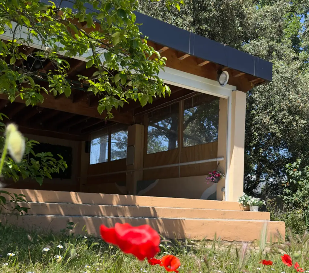 vitamine studio preau